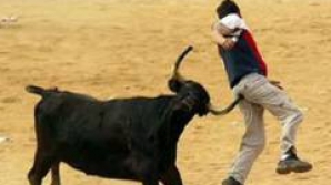 3 oameni au murit şi 37 au fost răniţi în urma unei lupte cu tauri în Columbia