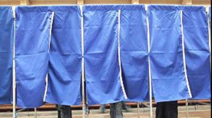 Partidul Verde din Irlanda a cerut organizarea alegerilor din ţară în 2011 