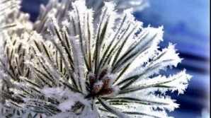 În timp ce Europa se confruntă cu zăpada, Australia are parte de inundaţii