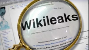 Dezvăluirile WikiLeaks au provocat prima demisie de rang înalt, în Germania