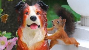 O veveriţă este obsedată de statuia unui câine VEZI FOTO