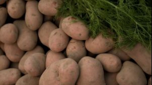 6 Mituri despre cartofi 