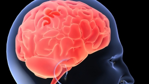 Top 9 alimente care menţin creierul în formă