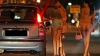 Prostituate reţinute în flagrant. Îşi căutau clienţii pe "Makler"