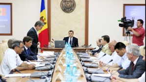 Viceminiştri mai noi şi mai vechi confirmaţi de Guvern