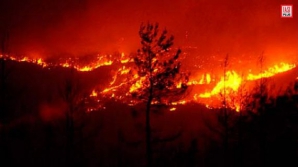 Incendii de vegetație în Texas
