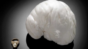 Una din cele mai mari perle din lume va fi pusă în vânzare 