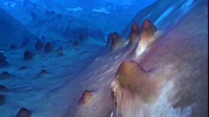 Ecosistem bizar, descoperit în adâncurile unui lac din Antarctica