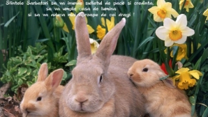 Uite cele mai tari SMS-uri de Paşti. Trimite-le pe ale tale!