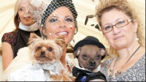 A dat 20.000 de lire sterline pentru nunta câinelui său GALERIE FOTO