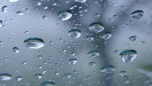 Iod radioactiv în România, în apa de ploaie şi în laptele de oaie