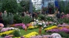 În Marea Britanie a fost inaugurată expoziţia "Chelsea Flower Show" 