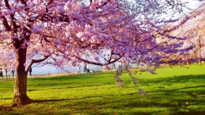 Prognoza meteo pentru 8 mai