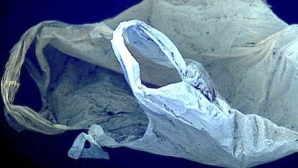 O pungă de plastic descoperită în cel mai adânc loc de pe pământ. Cum a ajuns acolo (VIDEO)