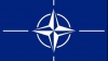 Unul din site-urile NATO a fost ţinta unui atac cibernetic