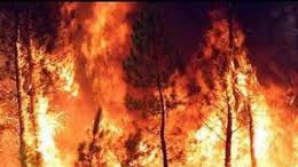 Incendiu de proporţii în statul american Arizona 