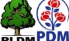 Ceartă şi replici dure între PD şi PLDM. Simpatizanţii acestor partide nu pot împărţi Primăria satului Cioreşti VIDEO