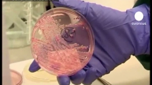 Uniunea Europeană a interzis importul tuturor seminţelor şi boabelor din Egipt