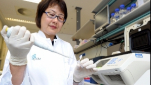 Epidemia de E.coli a fost declarată încheiată în Germania 