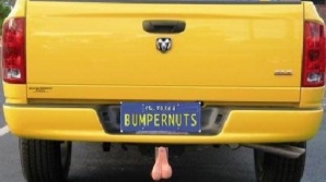 Dată în judecată pentru că şi-a agăţat la maşină nişte TESTICULE din plastic