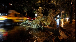 Revista presei: O furtună puternică a făcut 5 victime în Bucureşti