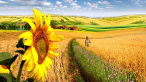 Prognoza meteo pentru 18 iulie