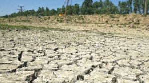 Sudul SUA afectat de secetă