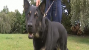 Cu capul spart și nările însângerate, erou pe străzile din Londra VEZI DETALII