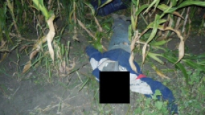 S-a dus la furat porumb şi s-a "întors" în SICRIU