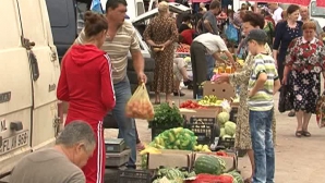 Legumicultorii din Floreşti suportă pierderi majore din cauza producţiei care se alterează