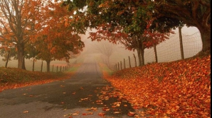 Prognoza meteo pentru 30 septembrie