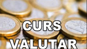 Leul s-a apreciat în raport cu moneda europeană