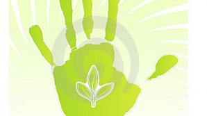 TOP cele mai ecologice mărci comerciale din lume