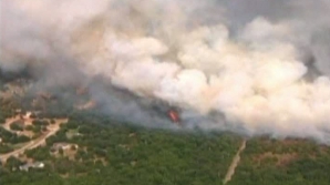 Sudul Statelor Unite ale Americii se confruntă cu incendii de pădure 