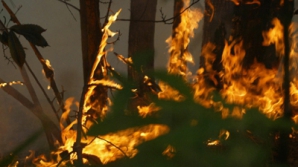 Atenție! Pericol de incendiu