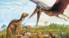 Senzaţional: Au fost descoperite cuiburi cu ouă de păsări preistorice şi o nouă specie de dinozaur