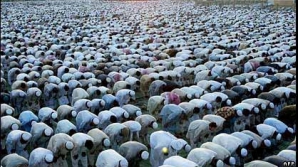 Musulmanii s-au adunat la Mecca pentru a marca Sărbătoarea Sacrificiului