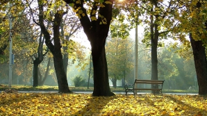 AVERTIZARE Cod Galben de schimbare bruscă a vremii