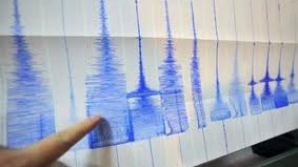 Japonia şi SUA au fost zguduite de cutremure