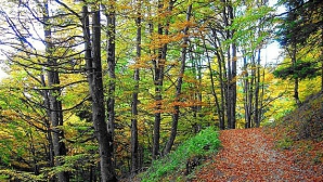 Prognoza meteo pentru 27 octombrie
