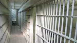 Imaginaţia nu are limite: O femeie a încercat să transmită în închisoare un telefon mobil ascuns în salam