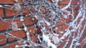 Prognoza meteo pentru 17 octombrie