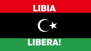 Consiliul Naţional de Tranziţie: Libia este liberă