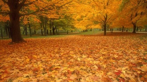 Prognoza meteo pentru 1 noiembrie