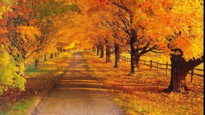 Prognoza meteo pentru 3 octombrie