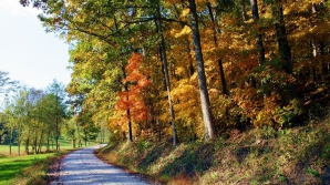 Află cum va fi vremea în următoarele şapte zile