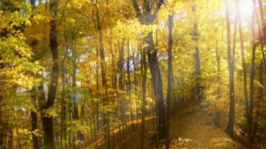 Prognoza meteo pentru 25 octombrie 