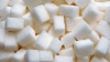 Preţul zahărului s-a redus cu 20 la sută în ultimile două săptămâni