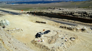 Balene în deşert! Cum explică cercetătorii acest fapt 