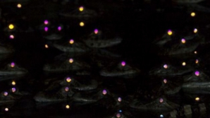 Ghici ghicitoarea mea! Ce se ascunde în această fotografie FOTO